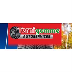 Ternigomme Autoservices