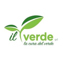 Il Verde