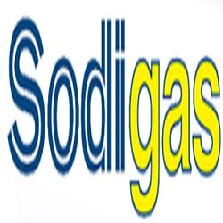 Sinergas