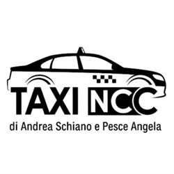 Taxi Ncc  Andrea Schiano e Pesce Angela