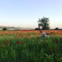Noleggio bike