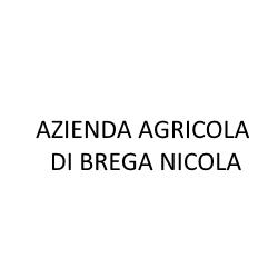 Azienda Agricola di Brega Nicola