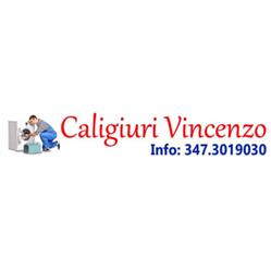 Caligiuri Vincenzo Vendita e Riparazioni Elettrodomestici