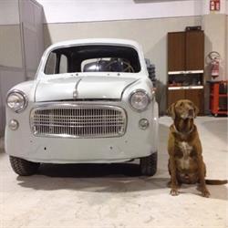 Carrozzeria Mondo Srl