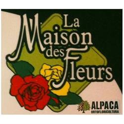 La Maison Des Fleurs Ortofloricoltura Alpaca