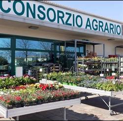 tuttoGIARDINO Conegliano