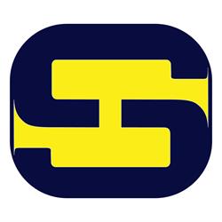 GS MULTISERVIZI
