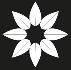 Ambiente Cucina Viva