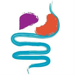 Prof. Marcello Maida - Gastroenterologo, Epatologo