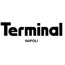 Terminal