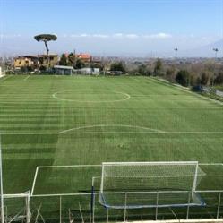 S.S. Il Nuovo Grillo Sas