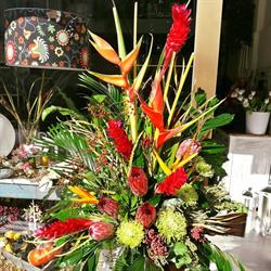 FRA I FIORI di Francesca Vavassori