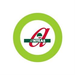 Anteas - Presidenza Nazionale