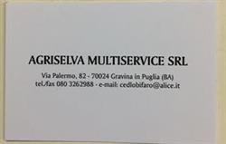 AGRISELVA MULTISERVICE SRL