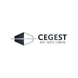 Centro Gestione Stabili Srl
