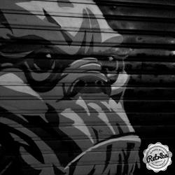 MONKEY PUB