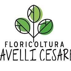 Ravelli Cesare Azienda Agricola Florovivaistica