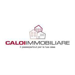 Caloi Immobiliare