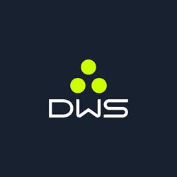 Dws Srl