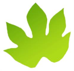 Firmiana Srl