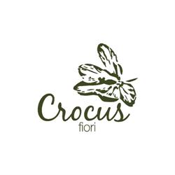 Crocus Fiori