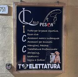 TOELETTATURA LILLO PESCA E BARBONCICCIO e PET SHOP