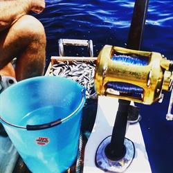 Hobby Fish La Spezia