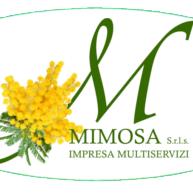 Impresa di Pulizie Pavia Mimosa SNC - Pulizie Industriali Pavia