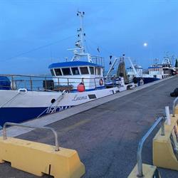 Pescheria La Boutique Del Pesce Di Urbinelli Daniele