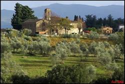 Azienda Agricola Panella Valentino