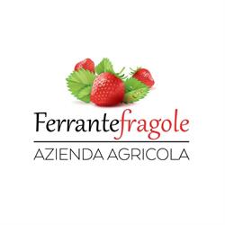 Soc. Agr. Ferrante Fragole