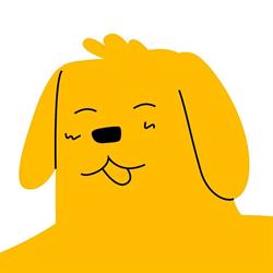 Belka