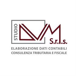 DVM Srls
