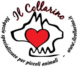Il collarino