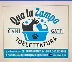 Qua la Zampa