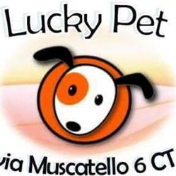 Lucky Pet