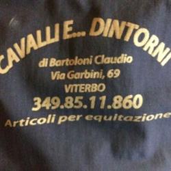 Cavalli e Dintorni Viterbo
