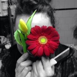 Il Giardino Segreto Di Laura Di Giacomo