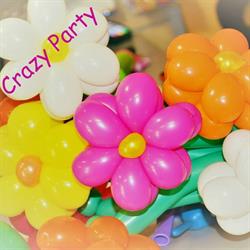 Crazy Party