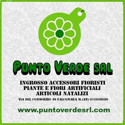 Punto Verde Srl