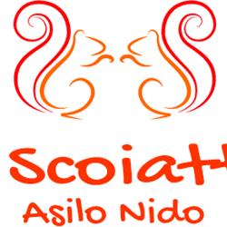 Asilo Nido Gli Scoiattoli