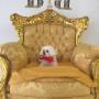 Gallery Cliente
