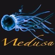 Medusa Ristorante Pizzeria Griglieria "Giro Pesce"