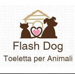 Flash Dog Toeletta E Alimenti per animali