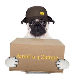 Amici a 4 Zampe