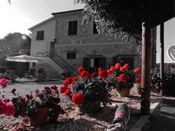 Oliveto Agriturismo - Giovani Marini Luana