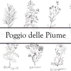 Poggio delle Piume