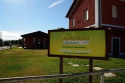 Agricoltura Capodarco - Mistica