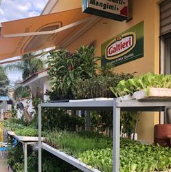 BIO AGRIPUGLIA DI GIUSEPPE RAHO