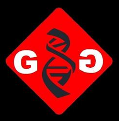 G&G Engineering Srl